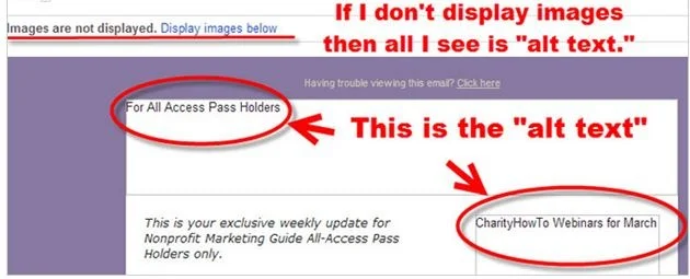 Writing descriptive image alt tags for SEO and accessibility